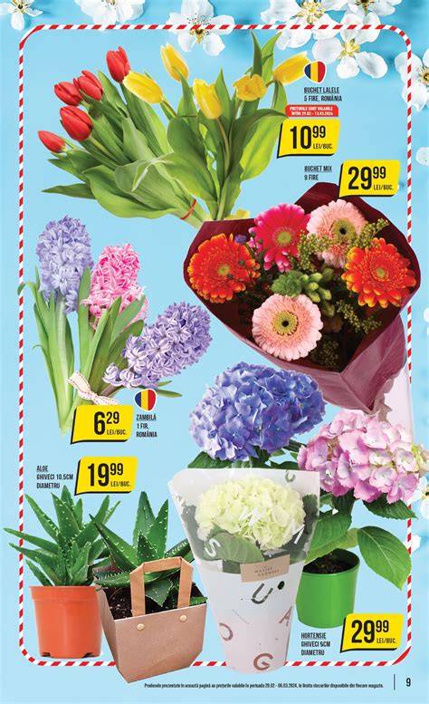 flori kaufland azi|Floricultura Flori